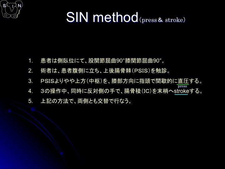 SIN法 参考資料